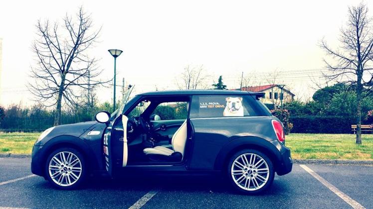 1480605_10152650731273496_53151799_n