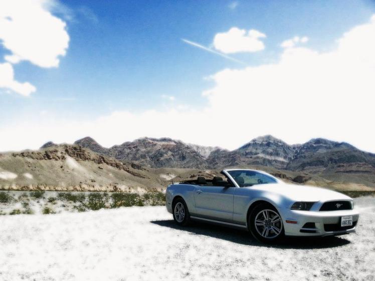 217805_10151377520448496_659434232_n