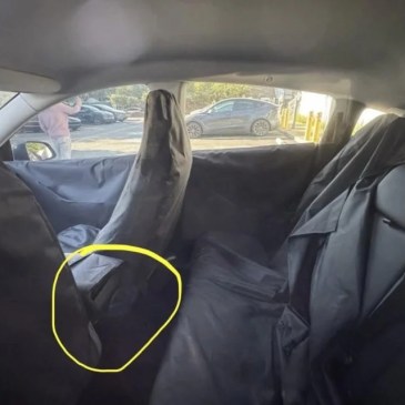 primi dettagli tesla economica model y