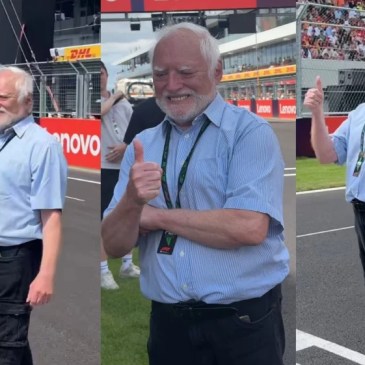 hide the pain harold meme gp d'ungheria