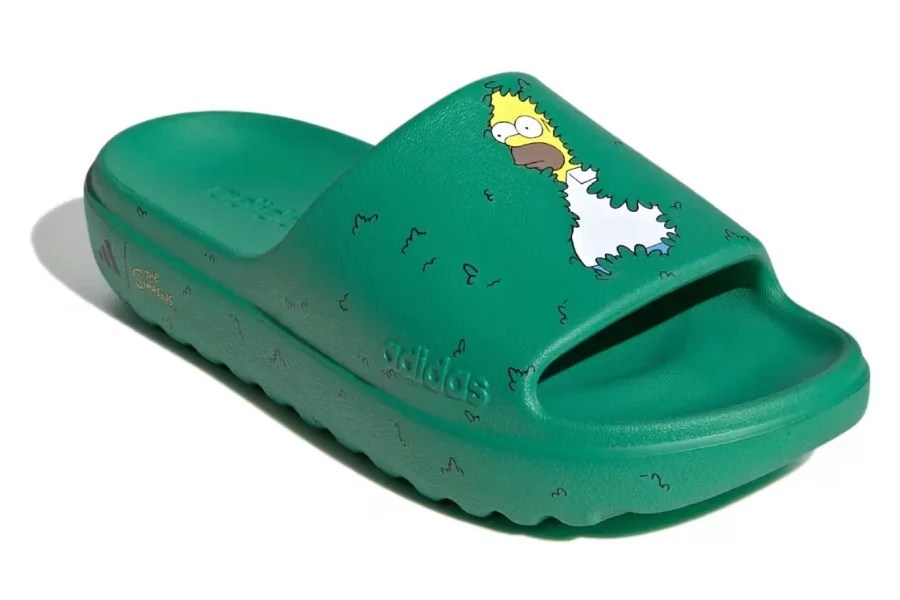homer simpson meme cespuglio ciabatta adidas adilette