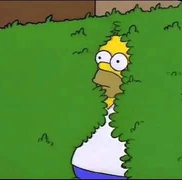 homer simpson meme cespuglio ciabatta adidas adilette