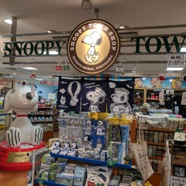 Sony ha di fatto acquistato i diritti intellettuali e creativi dei Peanuts, arrivando a detenere l'80 percento circa della famiglia creata da Charles M. Schulz che include Snoopy a Charlie Brown