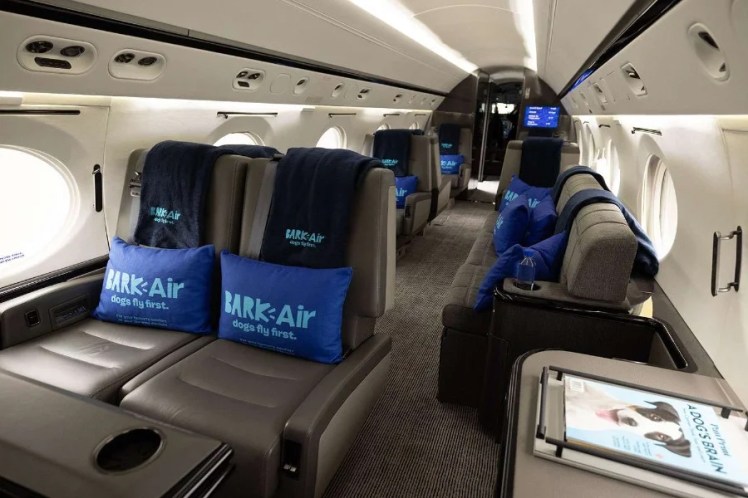 BARK Air, la compagnia aerea dedicata ai nostri amici a quattro zampe con prezzi da jet privato