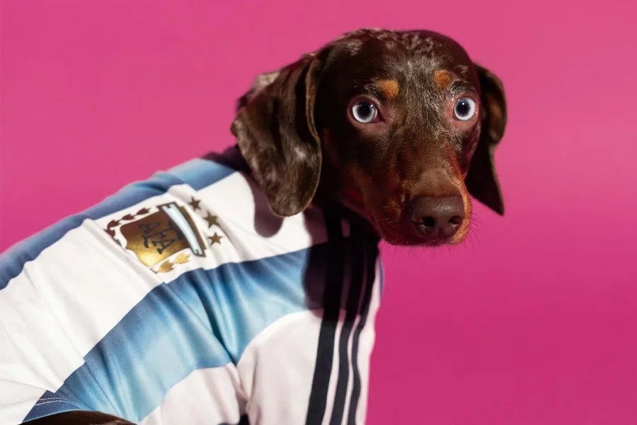 adidas ha creato maglie delle nazionali per i cani per i Mondiali 2026