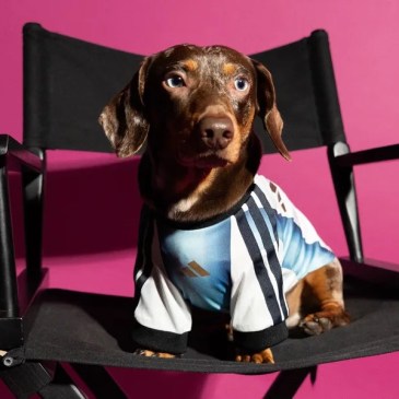 adidas ha creato maglie delle nazionali per i cani per i Mondiali 2026