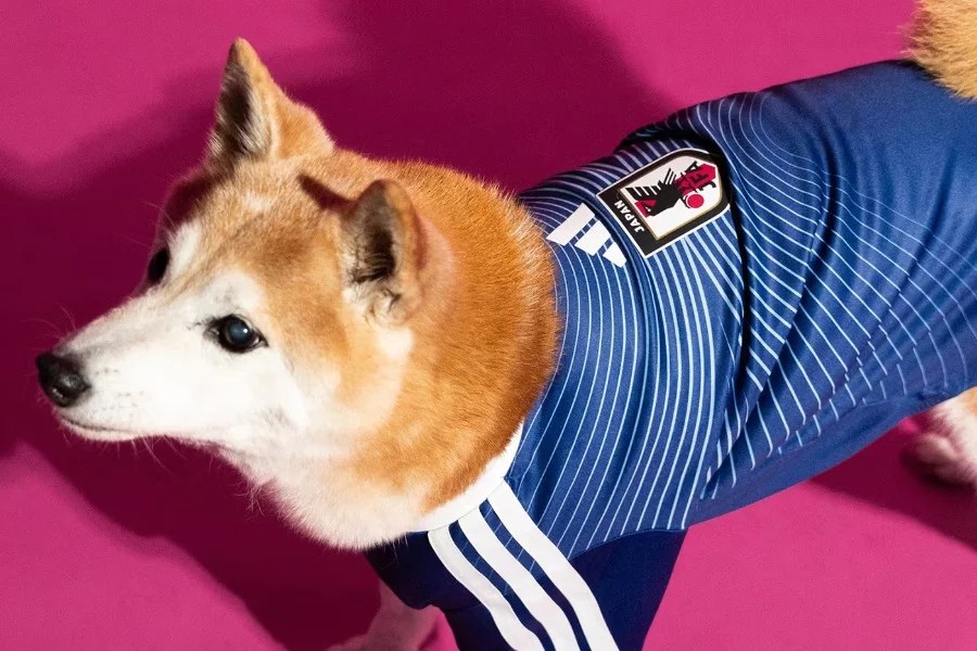 adidas ha creato maglie delle nazionali per i cani per i Mondiali 2026