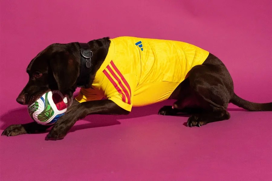 adidas ha creato maglie delle nazionali per i cani per i Mondiali 2026
