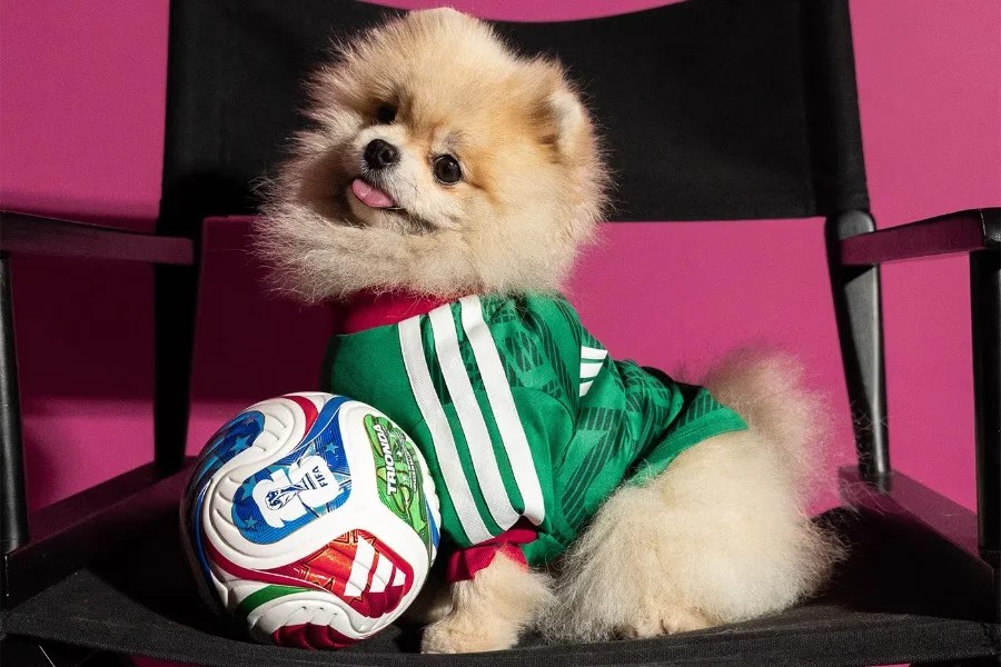 adidas ha creato maglie delle nazionali per i cani per i Mondiali 2026