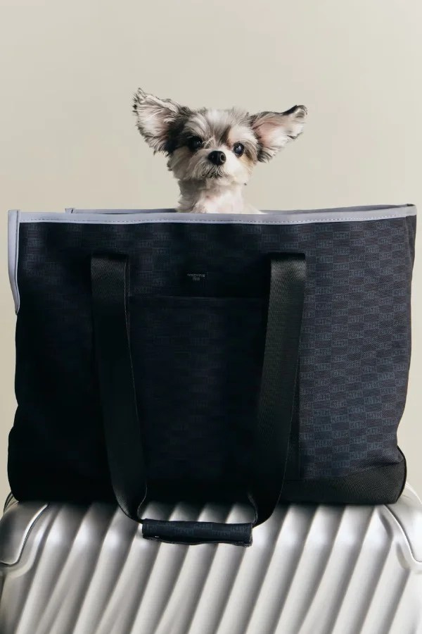 Kith come adidas- ecco la collezione per gli animali domestici