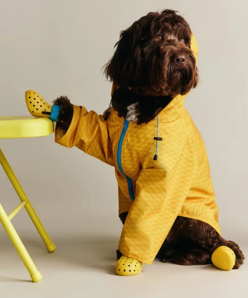Kith come adidas- ecco la collezione per gli animali domestici