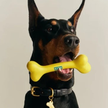 Kith come adidas- ecco la collezione per gli animali domestici