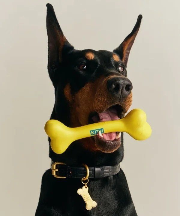 Kith come adidas- ecco la collezione per gli animali domestici