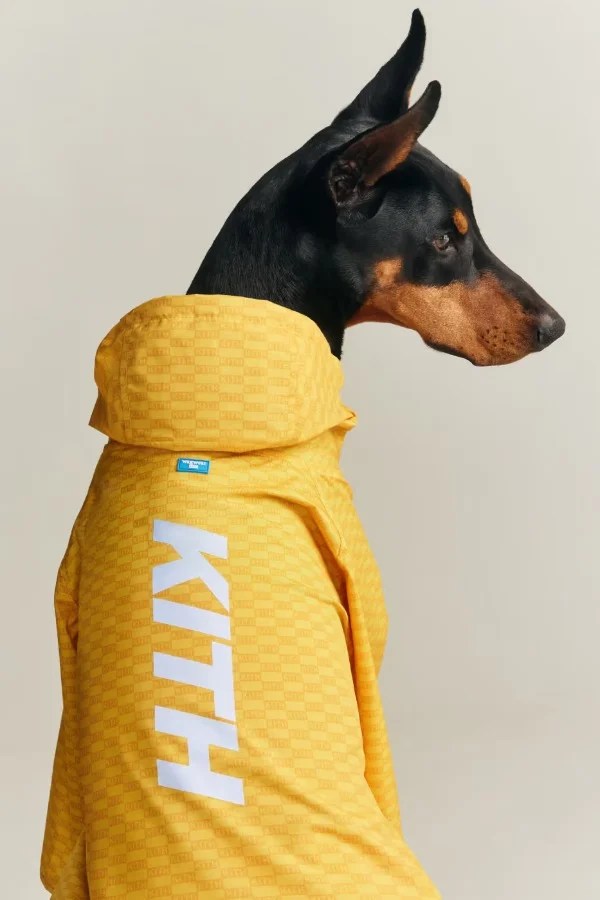 Kith come adidas- ecco la collezione per gli animali domestici