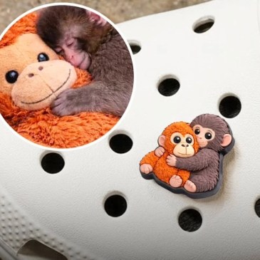 Non si arresta la popolarità di Punch: adesso arrivano anche i accessori per le Crocs