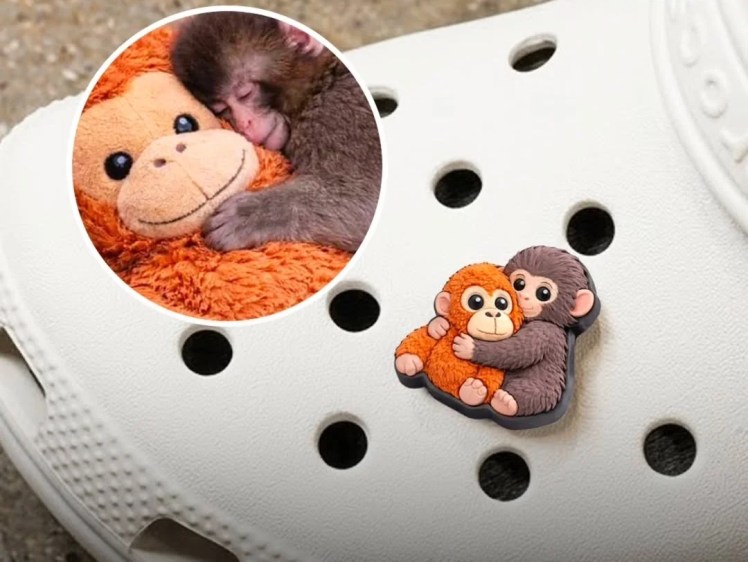 Non si arresta la popolarità di Punch: adesso arrivano anche i accessori per le Crocs