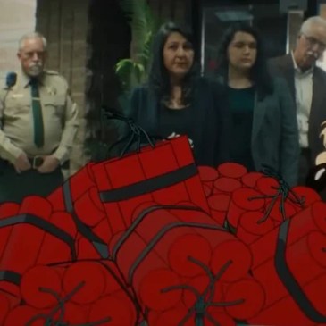 Willy il Coyote e Beep Beep sbarcano al cinema: ma non come ve li aspettate