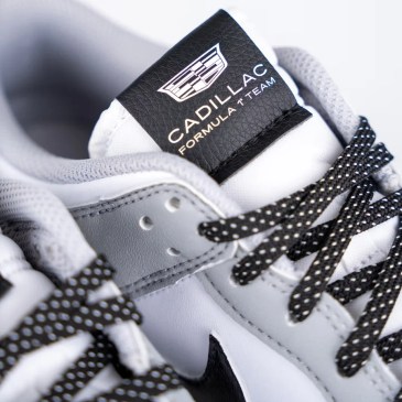 Nike ha svelato un paio di Dunk per il team Cadillac F1 - ma c'è un grosso ma