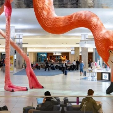 No, questo aeroporto negli USA non ha bandito i pigiami in aeroporto
